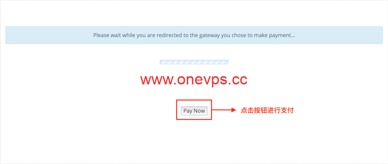 onevps购买教程10